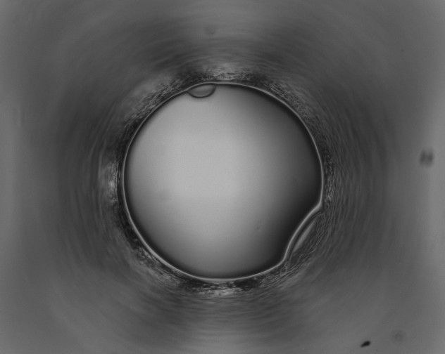 X0000091090646200708271257