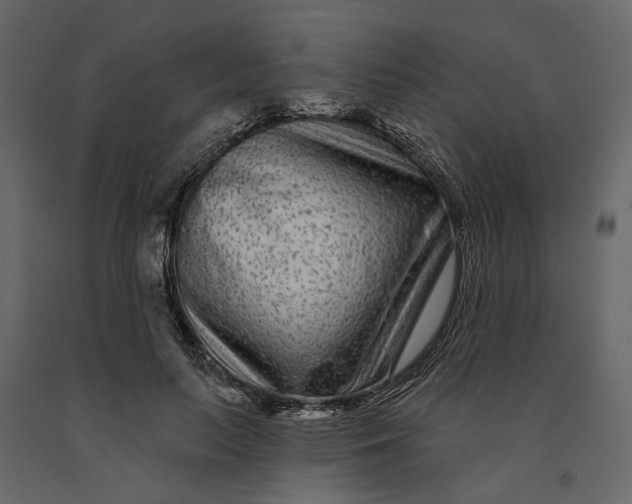 X0000091090647200708271257