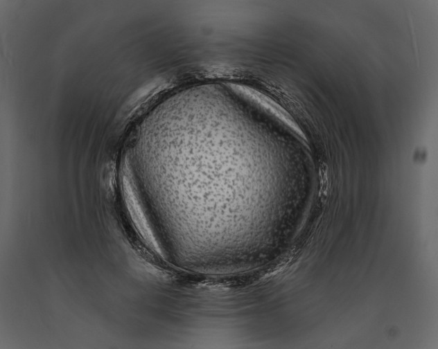 X0000091090648200708271257