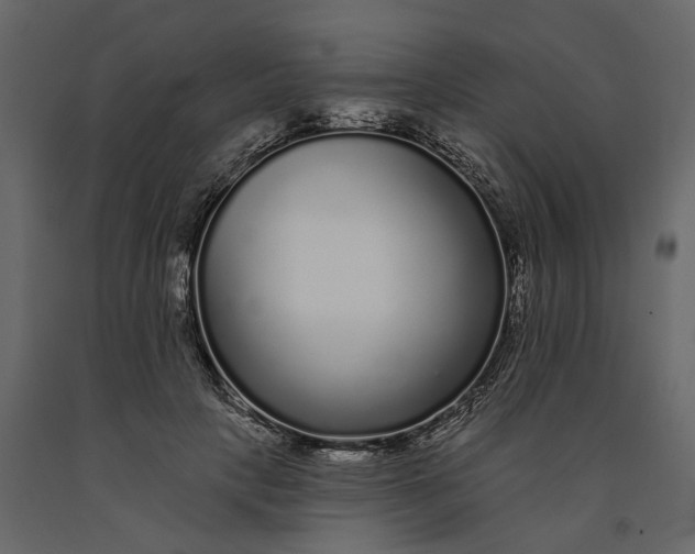 X0000091090649200708271257