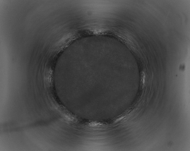 X0000091090650200708271257