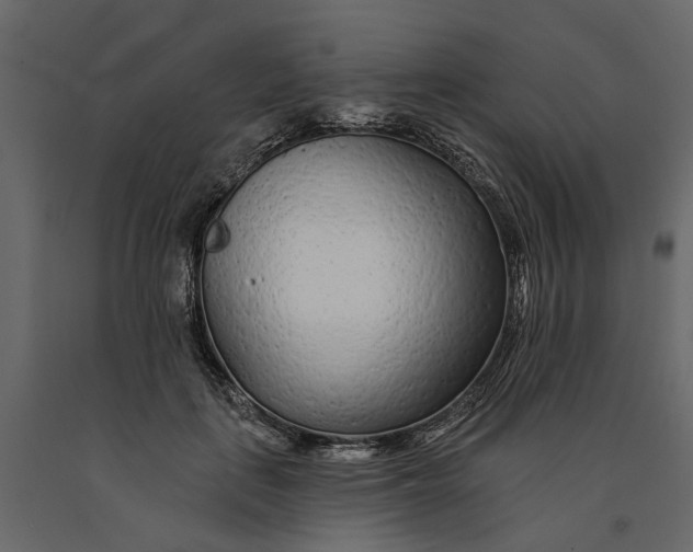 X0000091090651200708271257