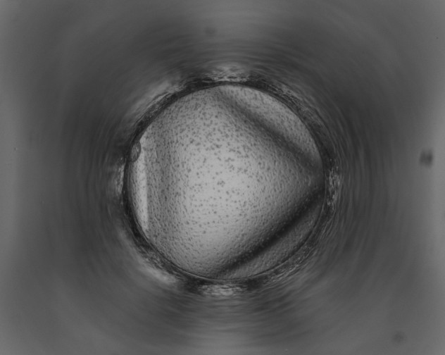 X0000091090652200708271257