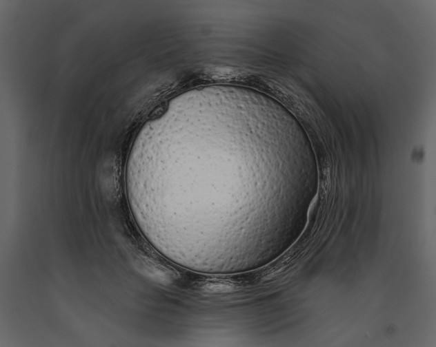 X0000091090653200708271257