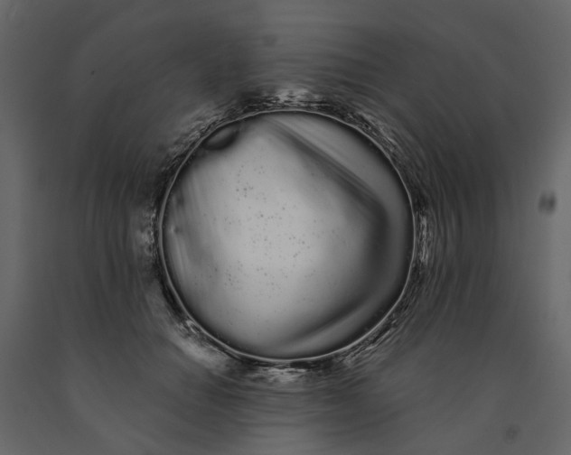 X0000091090654200708271257