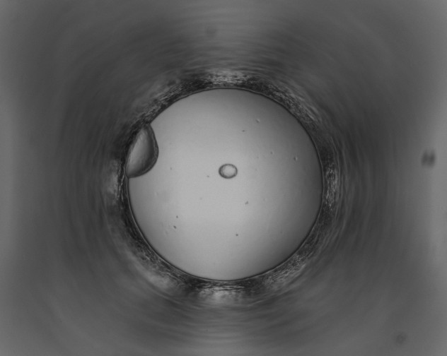 X0000091090655200708271257