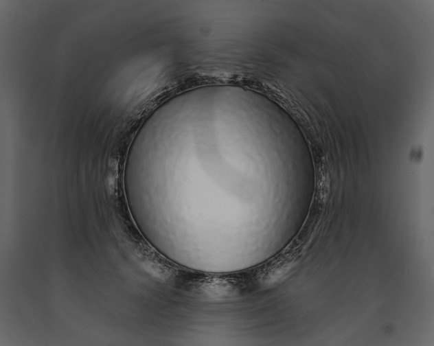 X0000091090656200708271257