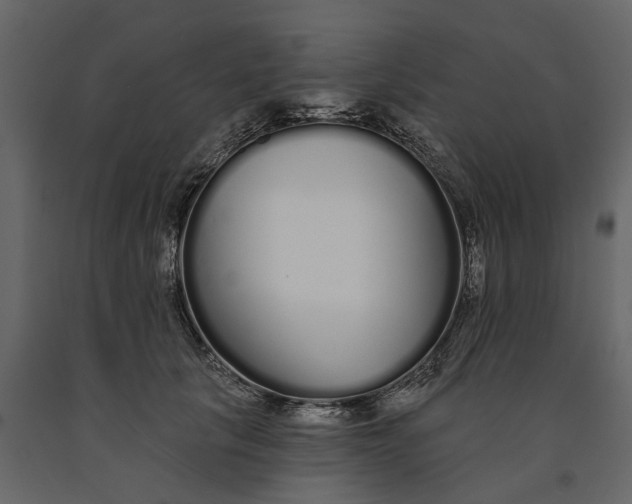 X0000091090657200708271257