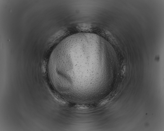 X0000091090658200708271257