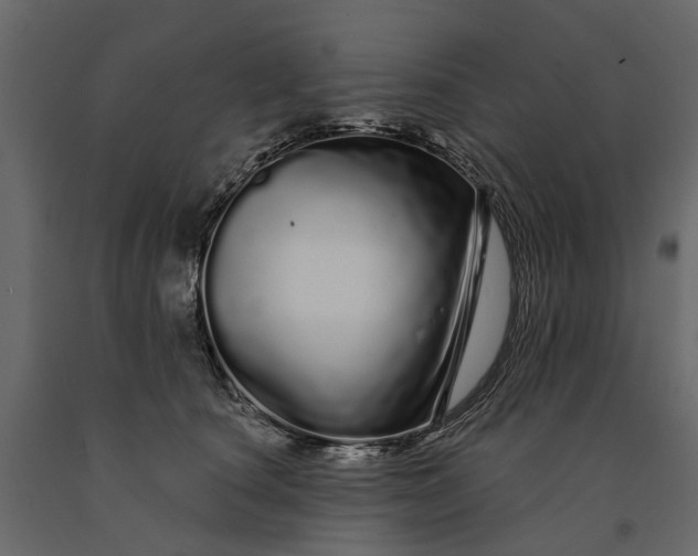 X0000091090660200708271257