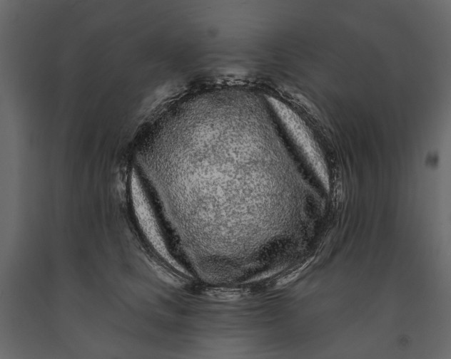 X0000091090661200708271257