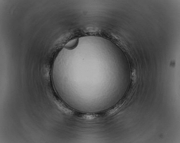 X0000091090662200708271257