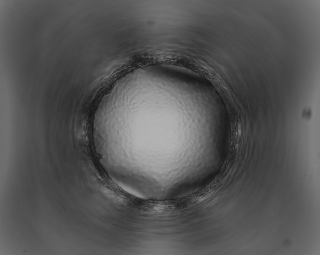 X0000091090663200708271257