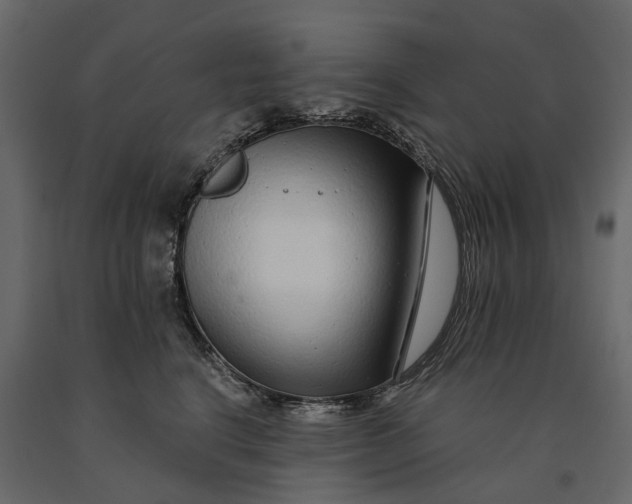 X0000091090664200708271257