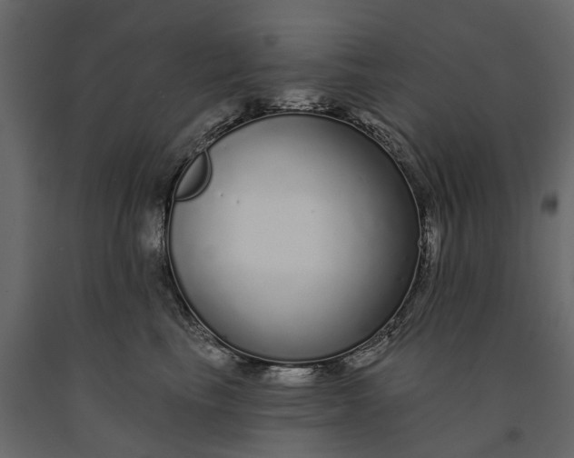 X0000091090665200708271257