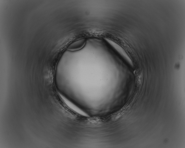 X0000091090666200708271257