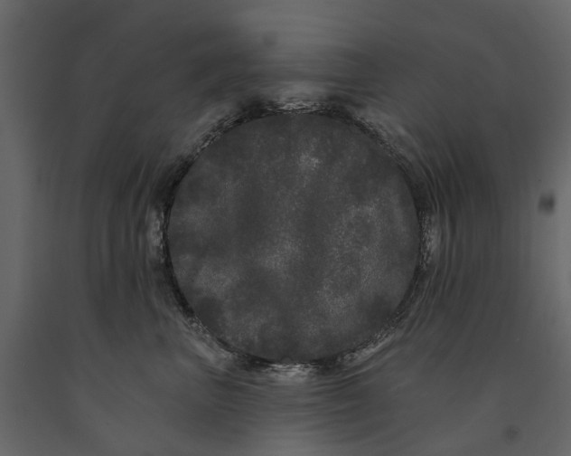 X0000091090667200708271257