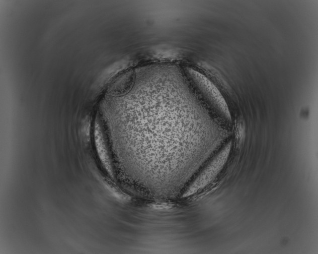 X0000091090668200708271257