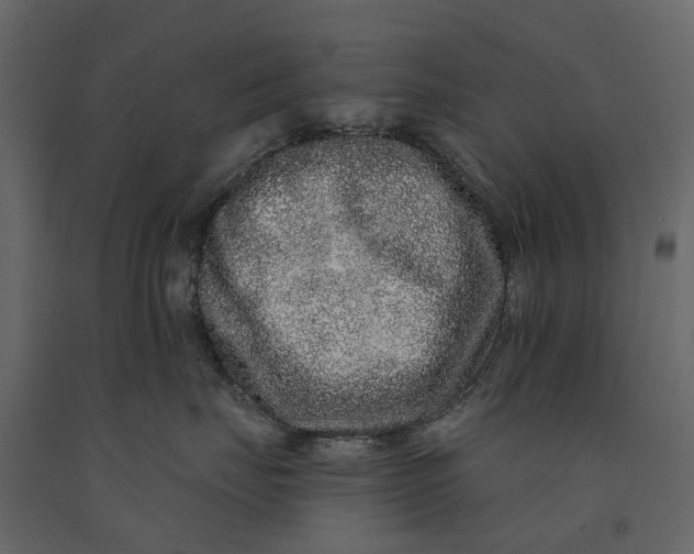 X0000091090671200708271257