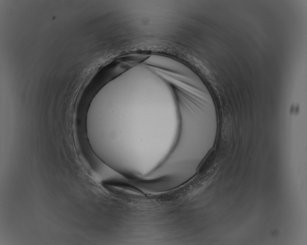 X0000091090673200708271256