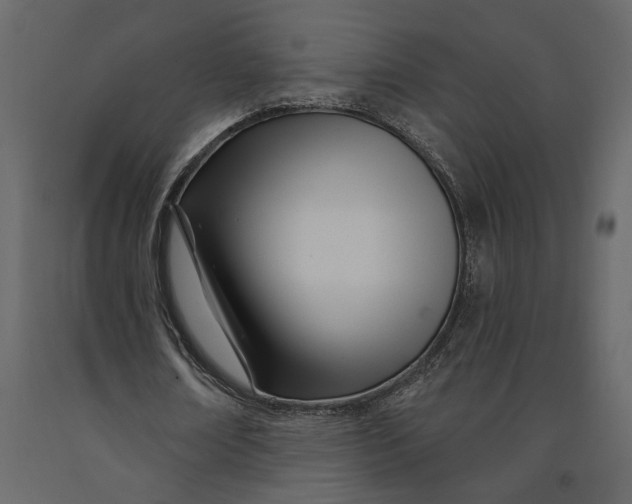 X0000091090674200708271256