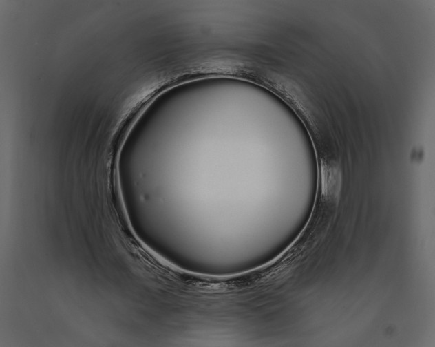 X0000091090675200708271256