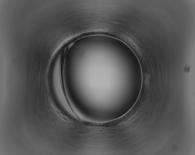 X0000091090676200708271256