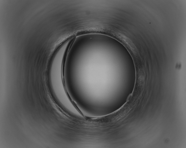 X0000091090677200708271256