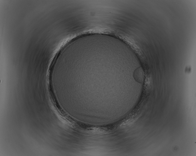 X0000091090678200708271256