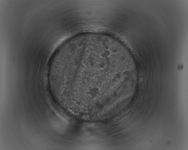 X0000091090679200708271256