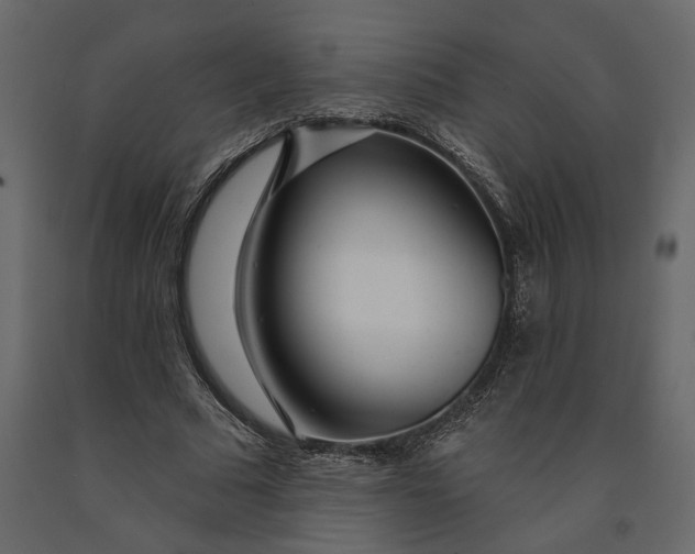 X0000091090681200708271256