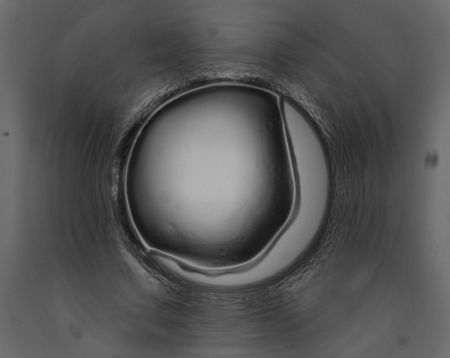 X0000091090683200708271256