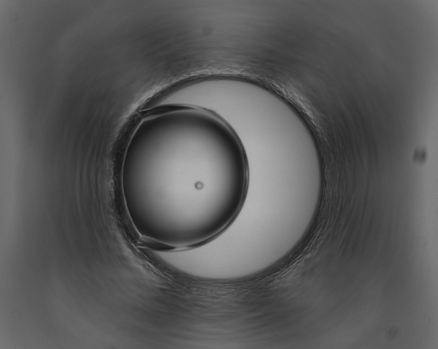 X0000091090684200708271256