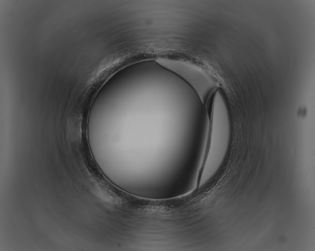 X0000091090685200708271256