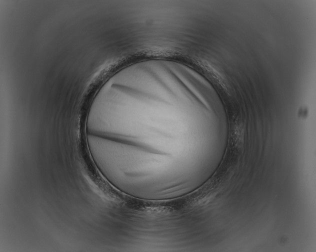 X0000091090686200708271256