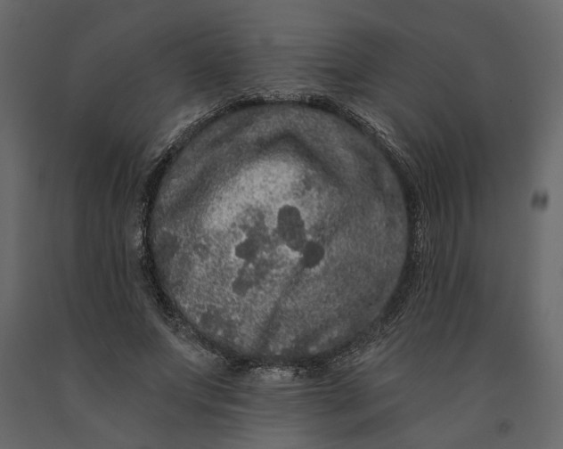 X0000091090687200708271256