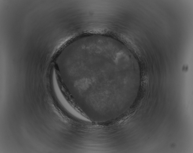 X0000091090688200708271256