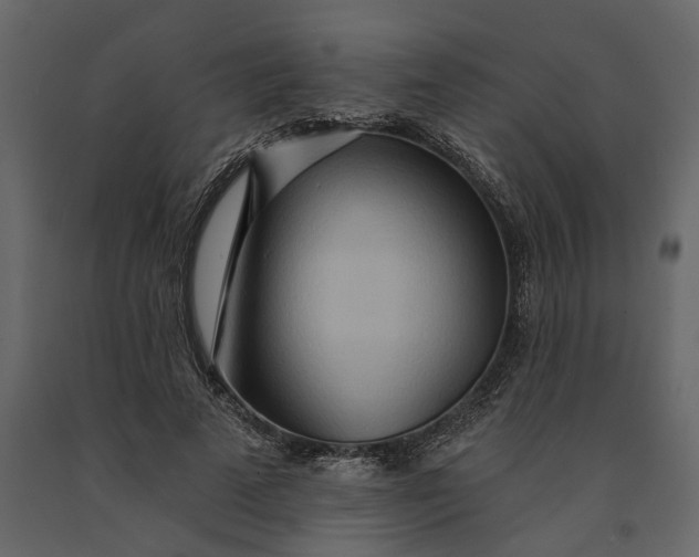 X0000091090689200708271256