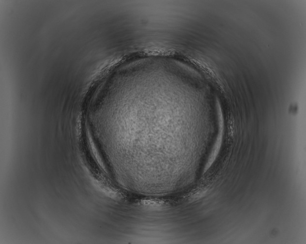 X0000091090690200708271256