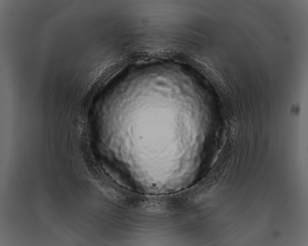 X0000091090691200708271256