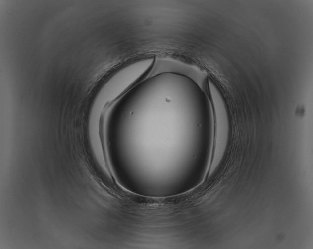 X0000091090692200708271256