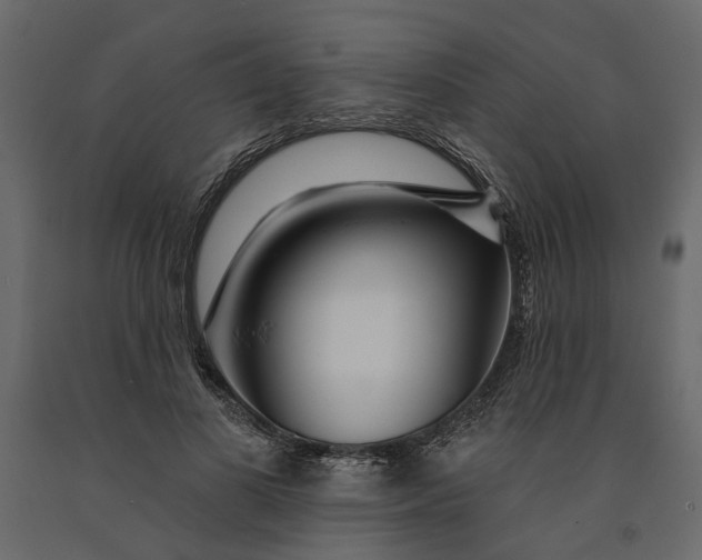 X0000091090693200708271256