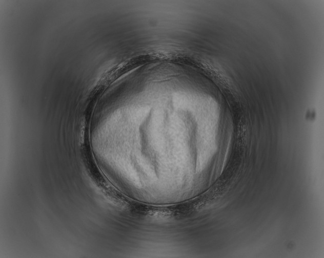 X0000091090694200708271256