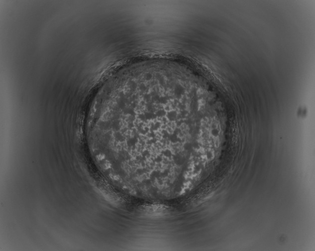 X0000091090695200708271256