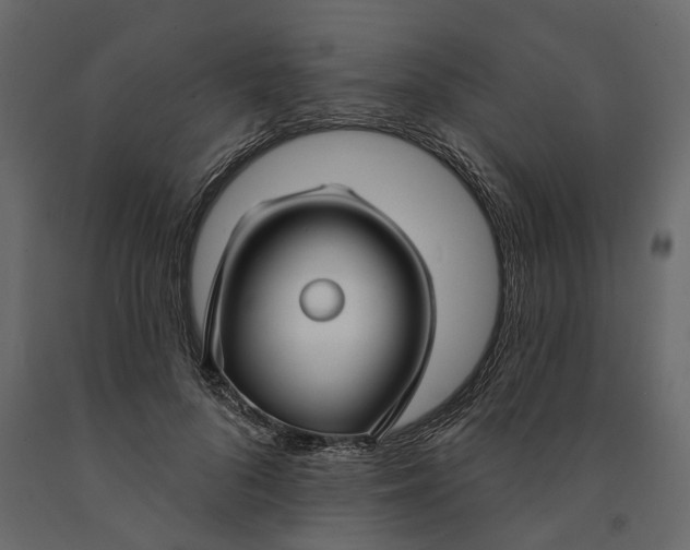 X0000091090696200708271256