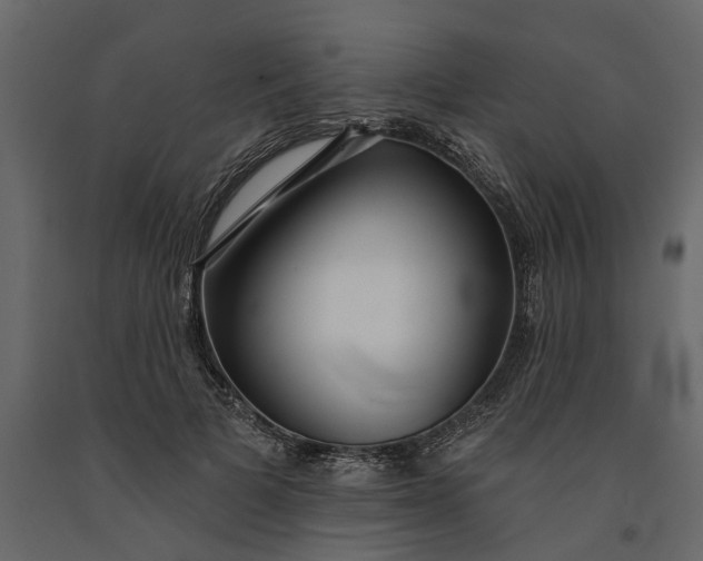 X0000091090697200708271256