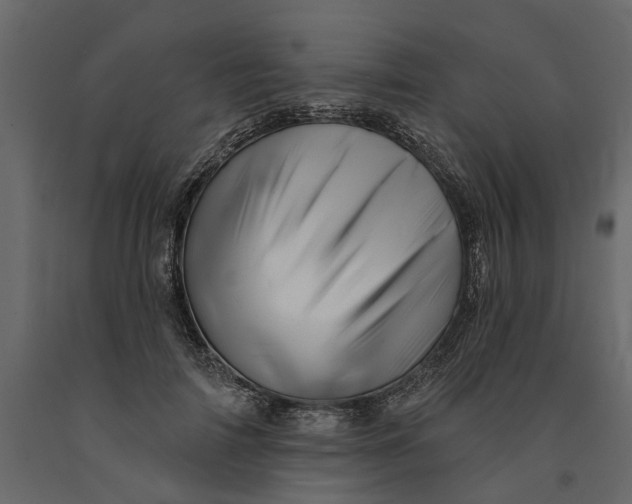 X0000091090698200708271256