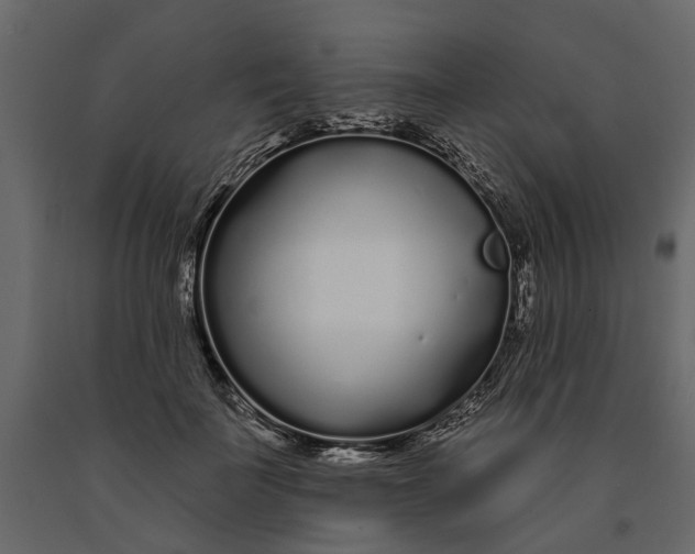 X0000091090699200708271256