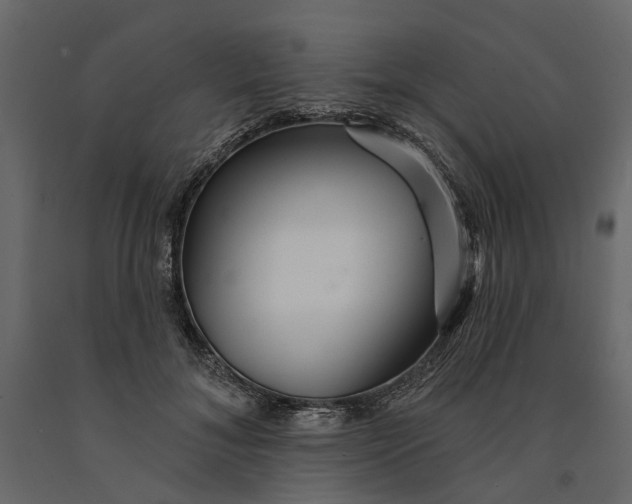 X0000091090700200708271256