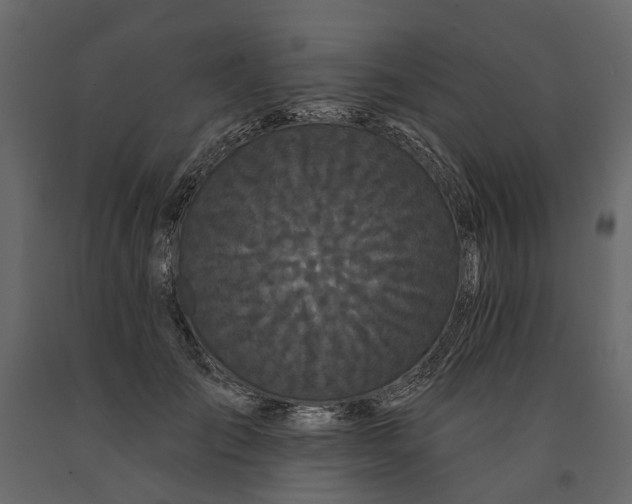 X0000091090701200708271256